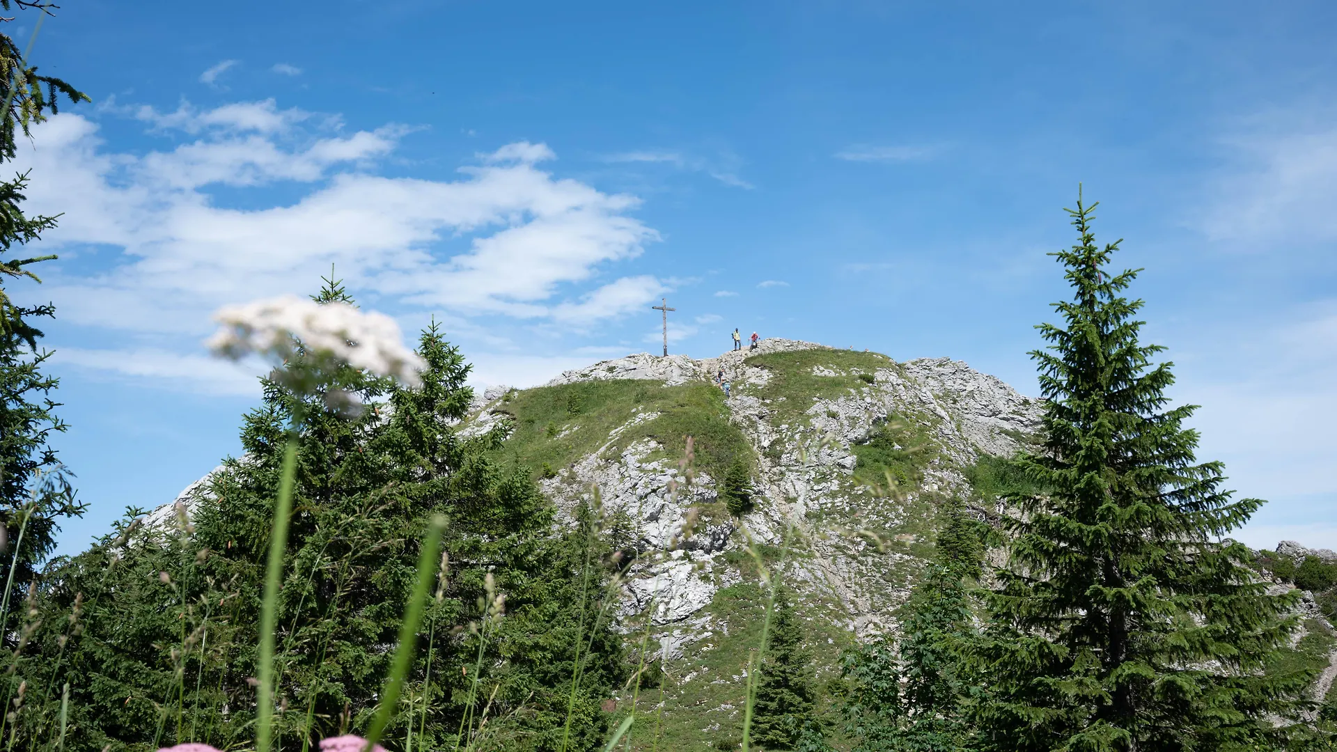 Hotel Arabella Alpenhotel am Spitzingsee